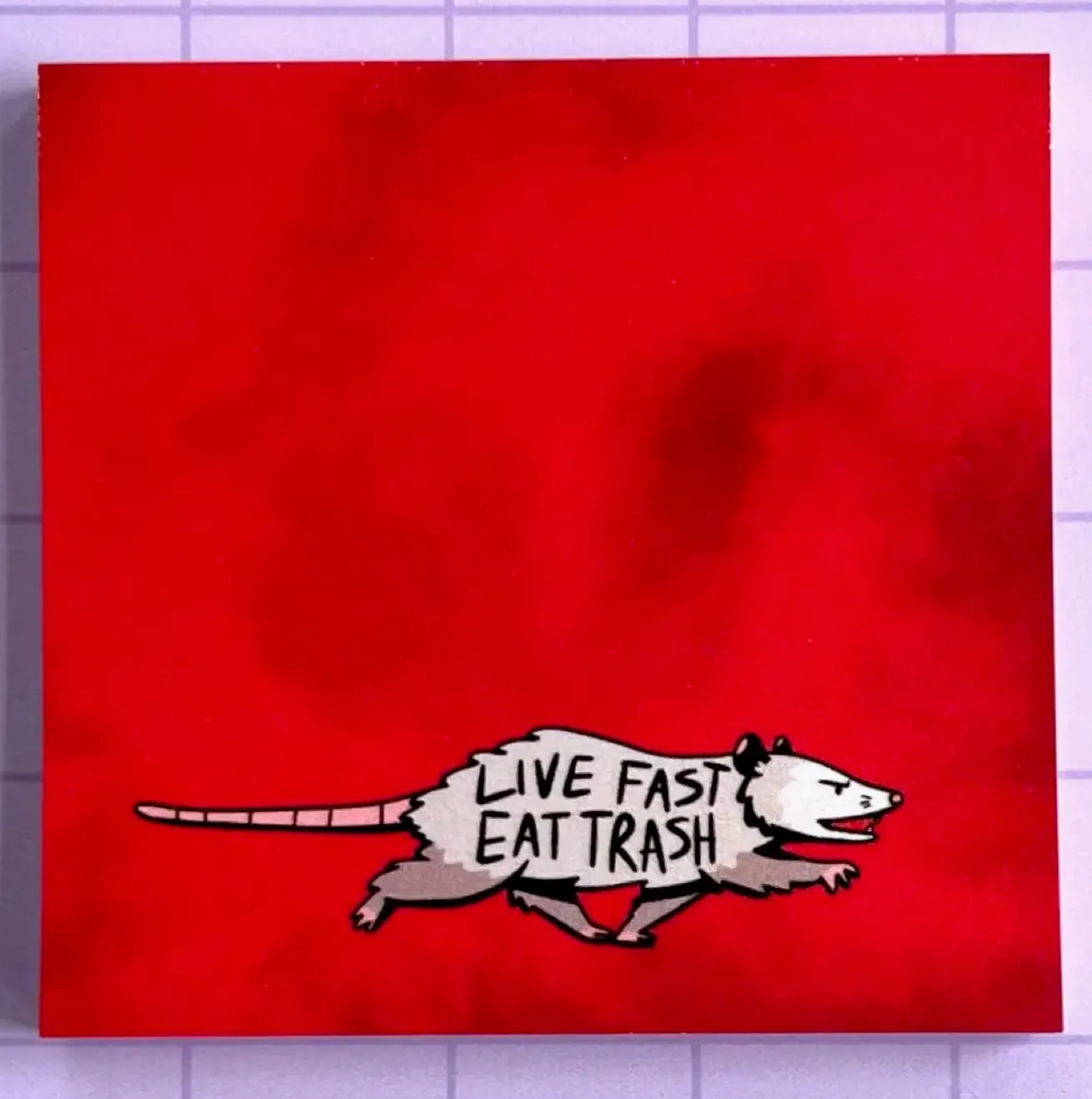 Opossum Live Fast Eat Trash Post It Notepad