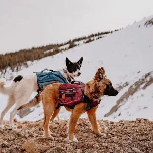 Wilderdog Dog Backpack