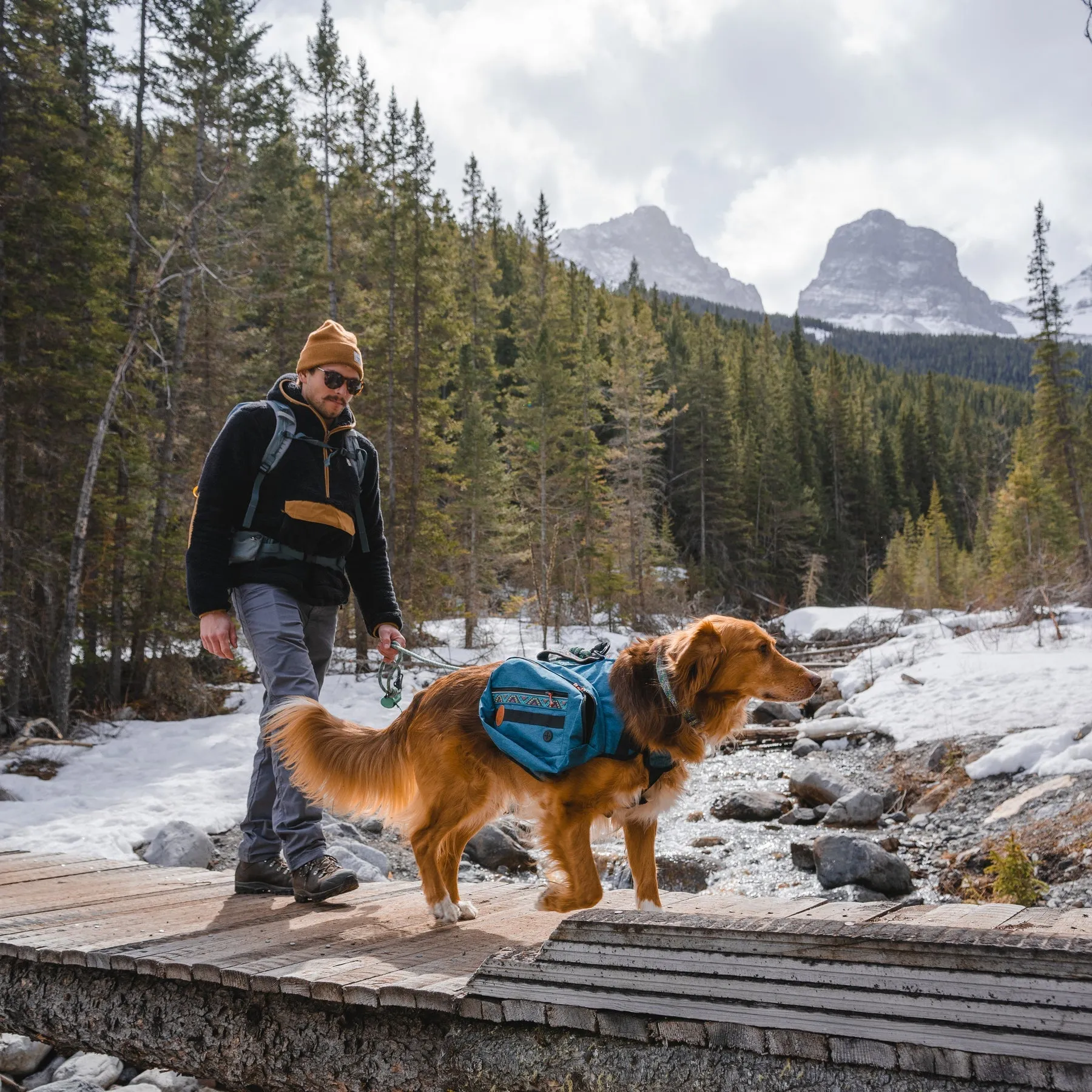 Wilderdog Dog Backpack